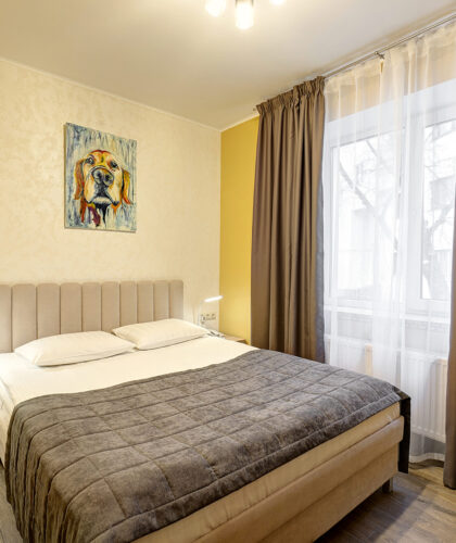 Номер первой категории Стандарт с двуспальной кроватью