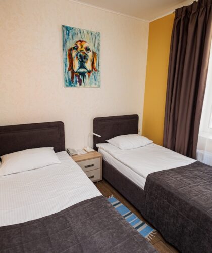 Номер первой категории Стандарт с односпальной кроватью